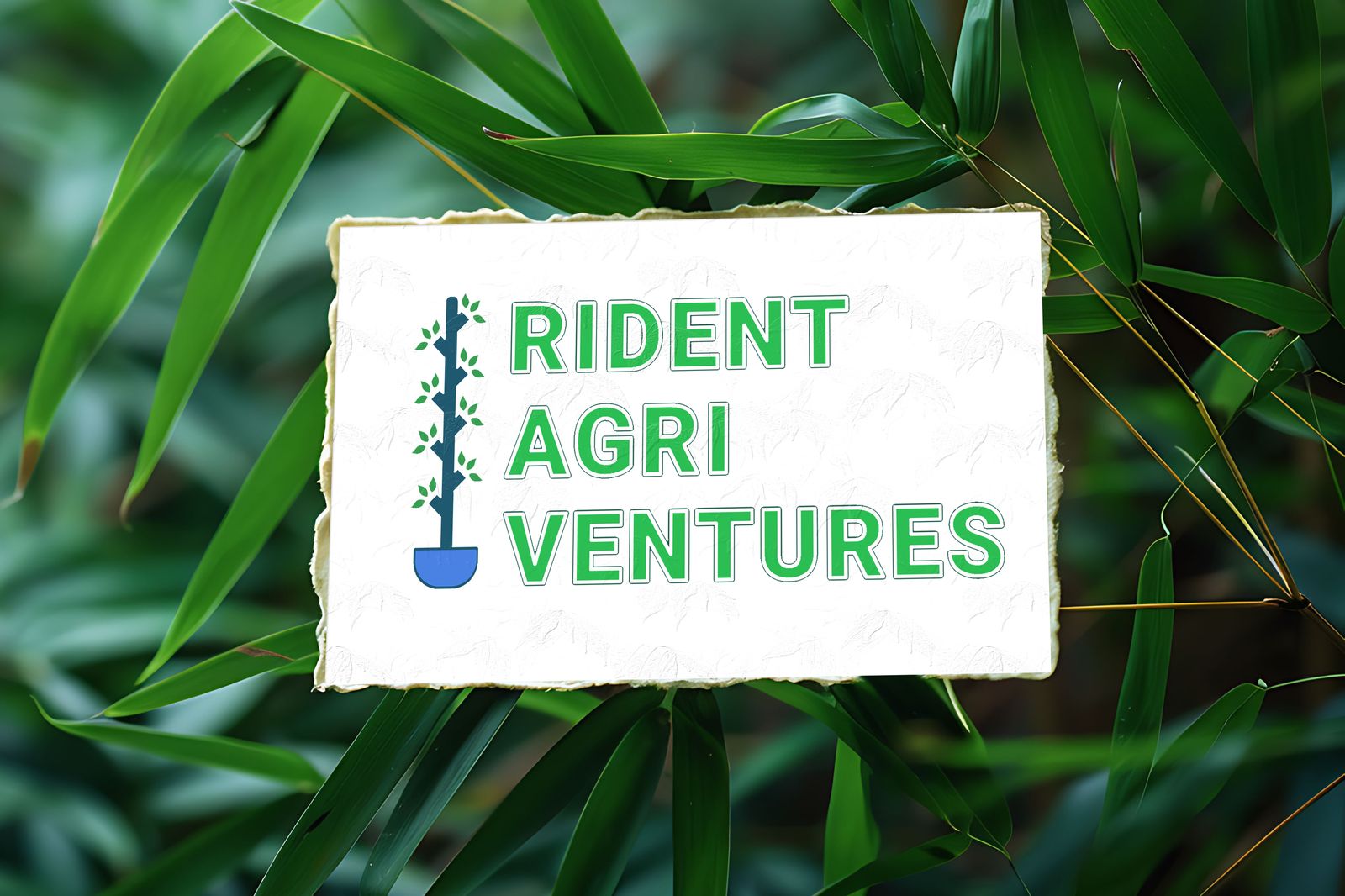 Rident Agri Ventures Brand Identity